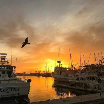 Boats on the water at sunset