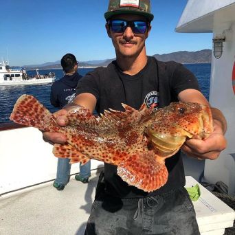 A man holding an orange