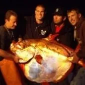 4 men holding a big fish