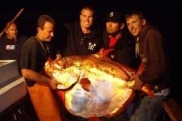 4 men holding a big fish